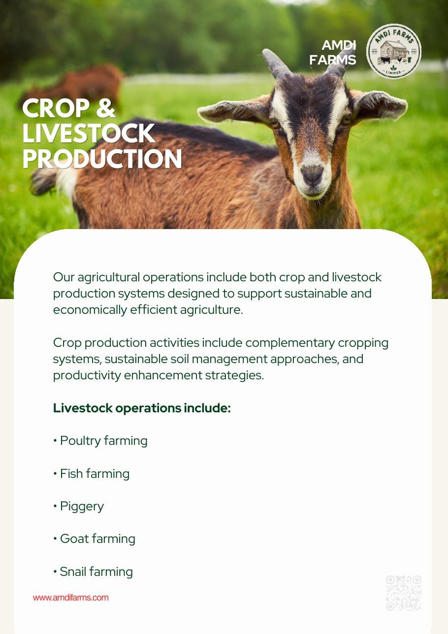 Livestock Enterprises